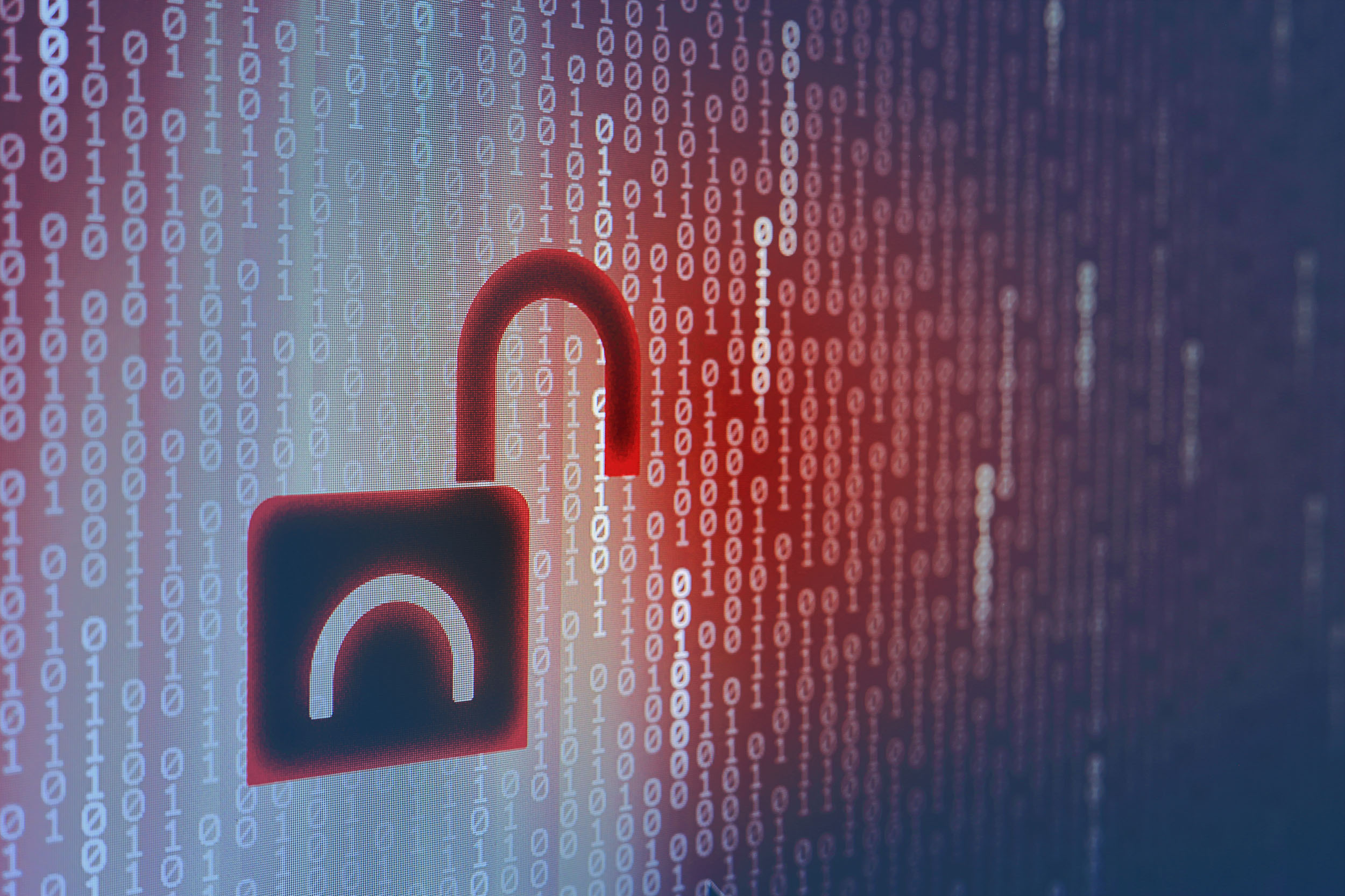 Carolina Samani Responds To Data Breach - 3h5mkuv