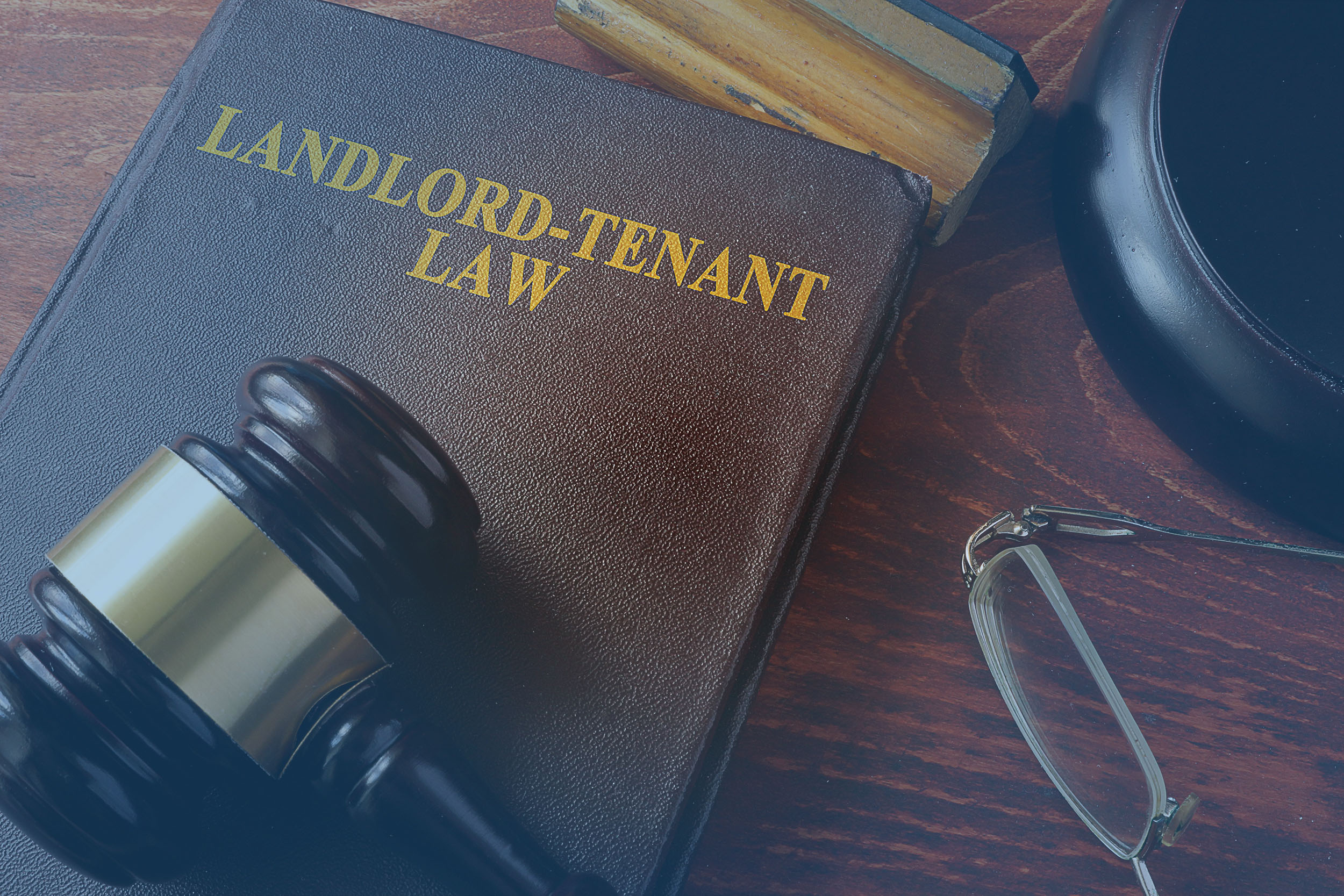 The Ultimate Legal Tool 36Th District Court Case Lookup For Landlord Tenant Disputes - tz6rh2g