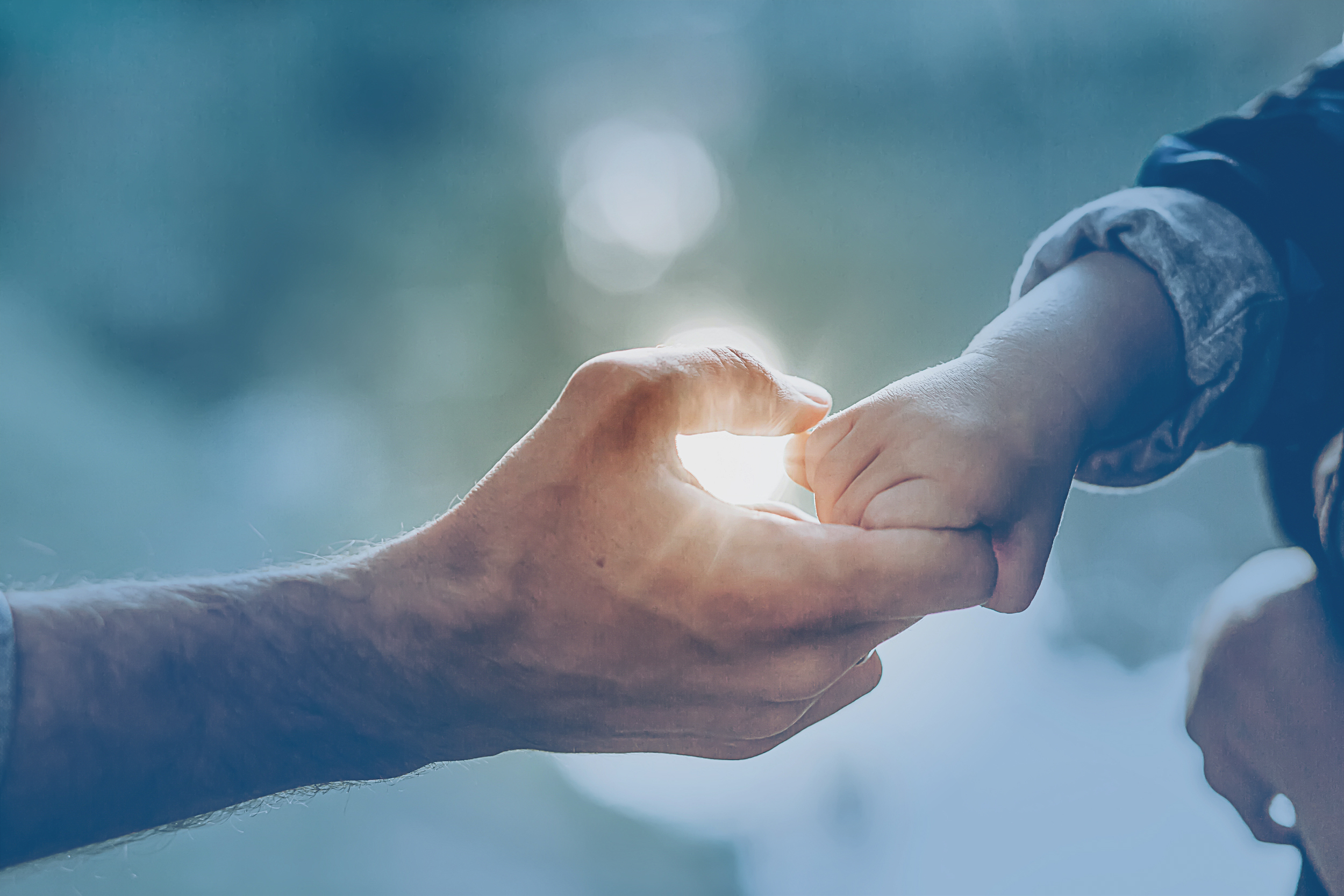 The Basics of New York Child Support Online CLE Course Lawline